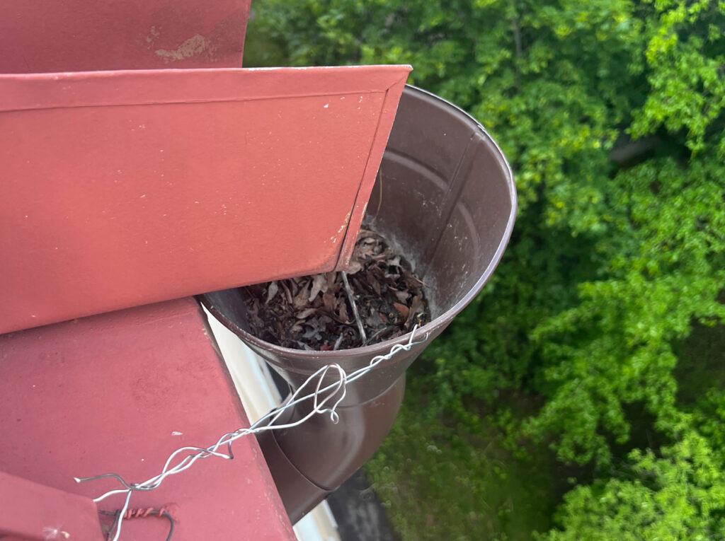 Närbild på stuprör som är täppt med gamla löv och skräp